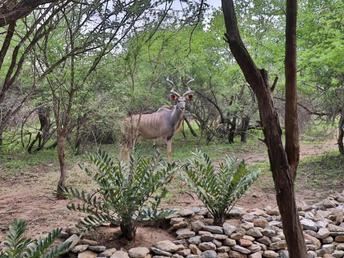 Apartamento Chelesa By Kruger Nights Marloth Park Exterior foto