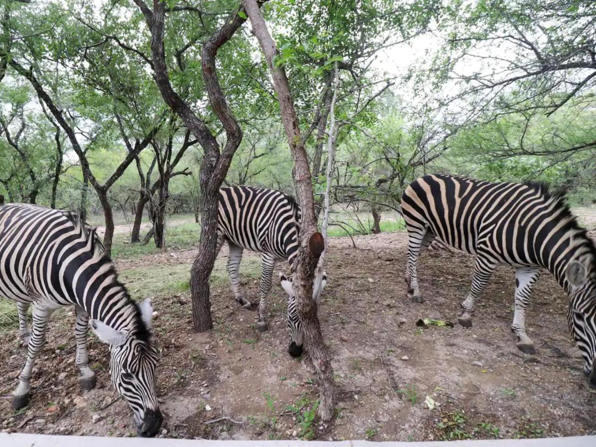 Apartamento Chelesa By Kruger Nights Marloth Park Exterior foto